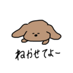 しの犬のきもち