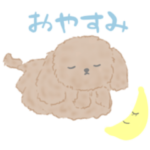 かわいいプードル犬のきもち