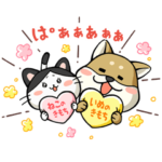 いぬ・ねこのきもち 柴太郎＆はちこ（１）