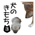 犬のきもち 3