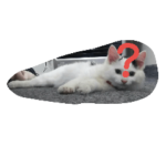 犬猫日常系スタンプ