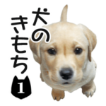 犬のきもち 1