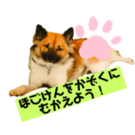 いぬのきもちスタンプ