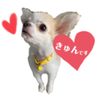 せなとくりあとみりと