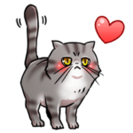 エキゾチックショートヘア