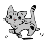 アメリカンショートヘア