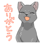 ロシアンブルー