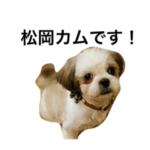 松岡家2代目 カム