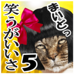 リアルキジトラ❤笑える猫写真５