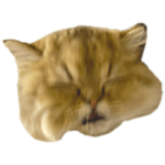 はぴスタンプ2022