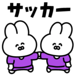 サッカーうさぎ