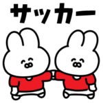 サッカーうさぎ