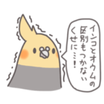 自由なインコと文鳥たち 3