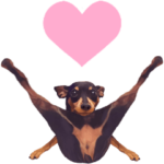 動く!リアルミニピン祭りpart.5 おしゃれ編