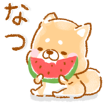 夏❤️いやしばいぬ❤️5