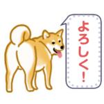 柴犬メッセージ