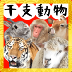 飛び出す！動物園の毎年使える干支十二支