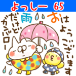 専用65<お天気>
