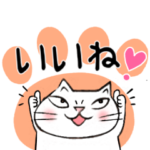 Juns白にゃんこのご挨拶