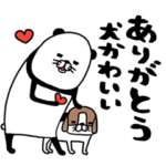 パンダと犬 動く
