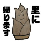 手作り野菜サラダ