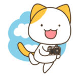 カメラとパソコンを使う猫の日常スタンプ