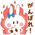 サッカーうさぎ女子サポ用