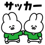 サッカーうさぎ