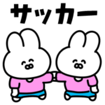 サッカーうさぎ