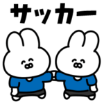 サッカーうさぎ