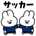 サッカーうさぎ