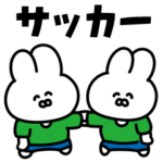 サッカーうさぎ