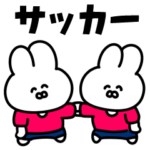 サッカーうさぎ