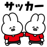 サッカーうさぎ