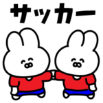 サッカーうさぎ