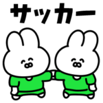 サッカーうさぎ