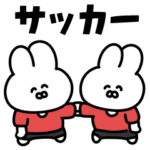 サッカーうさぎ