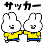 サッカーうさぎ