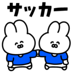 サッカーうさぎ