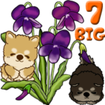 ちゃちゃ丸 & くろ麿 7『花と』