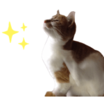 ちび・ふく・まる