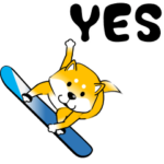 真・激しく尻尾をふる柴犬 6