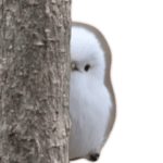 動く！シマエナガちゃん