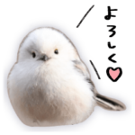 おしゃべりシマエナガちゃん