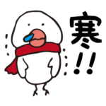 寒い日&風邪の日