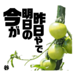 全く動かない！全然喋らない！話題のスタ。