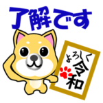 柴犬の日常 よろしく令和1