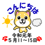 柴犬の日常 令和元年５月 C