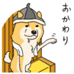 サウナと柴犬23匹と1匹狼