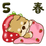 ちゃちゃ丸 5 『こんなご時世の春』